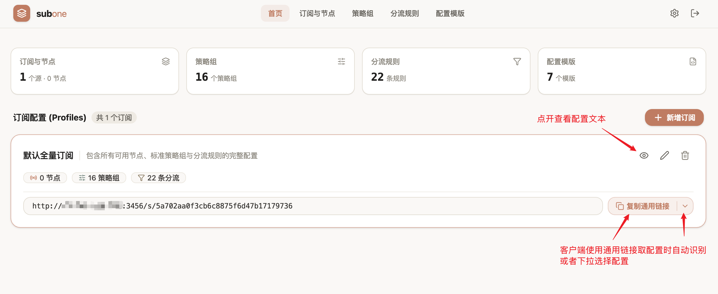 订阅链接复制与查看生成配置